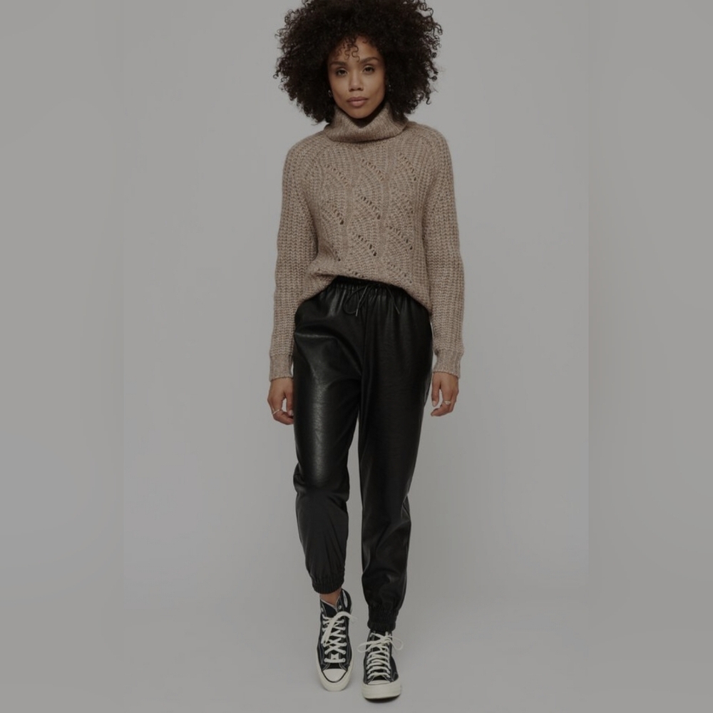 Dynamite Sacha Faux Leather Jogger
